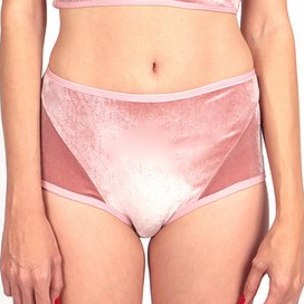 Cameo PInk Velvet High Waisted Brief NWOT